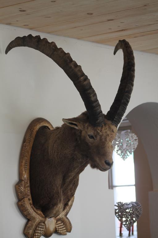 Albula 3*