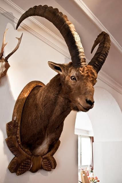Hotel Albula